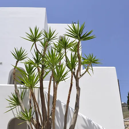 Aloni & 3* 皮索·里瓦蒂