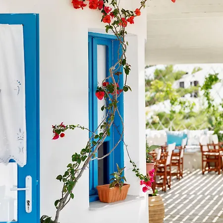 Aloni & 皮索·里瓦蒂