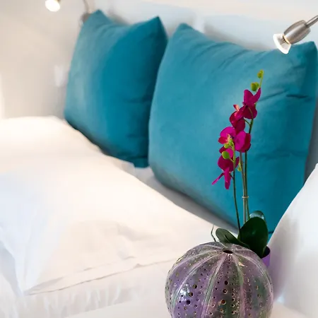 Aloni & Otel